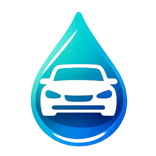 Lavage auto à domicile Palisse